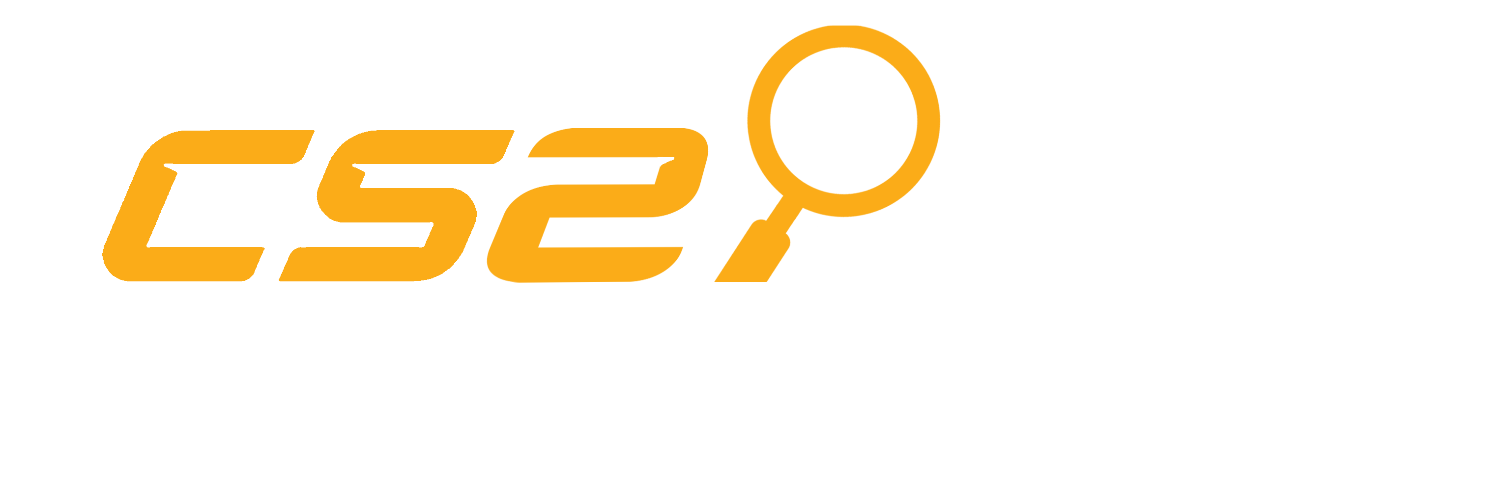 CS2Inspects